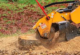 Best Emergency Tree Removal  in Hildale, UT
