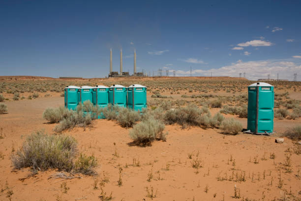 Best Root Management and Removal  in Hildale, UT