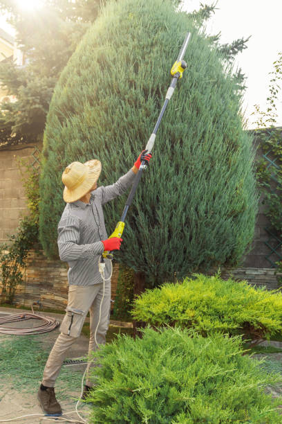 Best Lawn Watering Services  in Hildale, UT